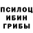 Псилоцибиновые грибы GOLDEN TEACHER Hellboy 2004