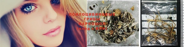 прущая мука Верхний Тагил